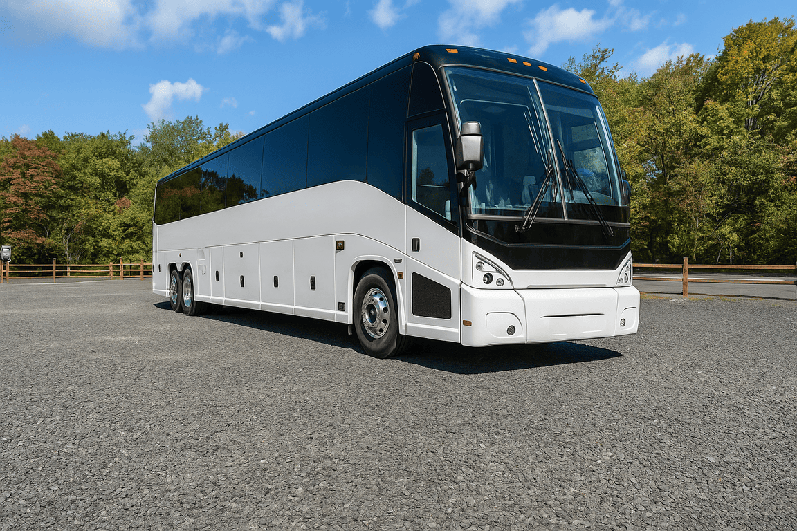 picture of Duluth Coach Bus Service coach bus