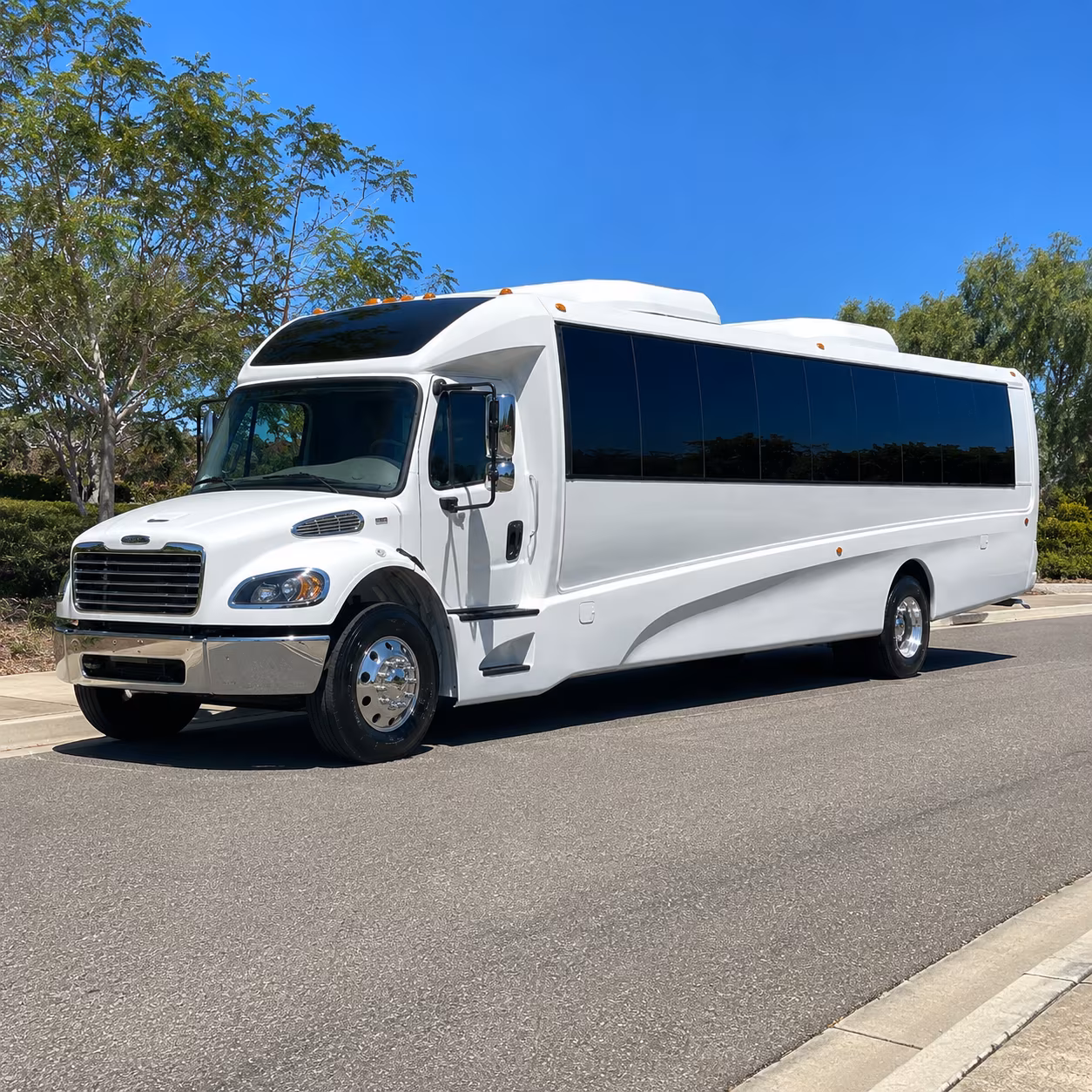 duluth 18 passenger minibus