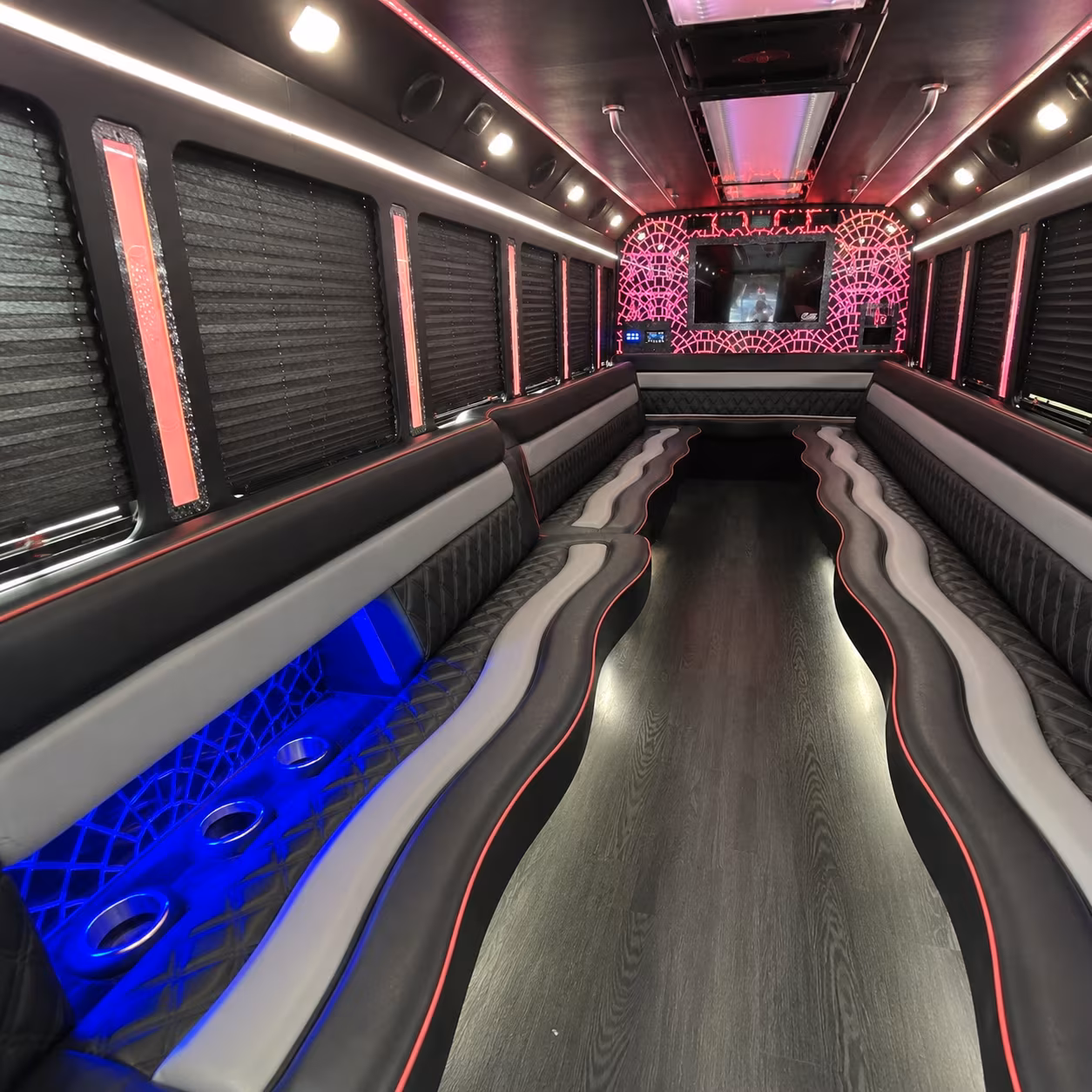 duluth birthday party bus rental